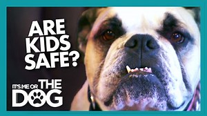 Roxy's aggressive play and behavior towards other dogs are making guests, especially parents, uneasy. With a bad reputation, can dog trainer Victoria Stilwell help Roxy learn to play nicely and become a trusted companion for the kids? #ItsMeOrTheDog #VictoriaStilwell #Positively Take Victoria’s free dog training courses on her official site: https://bit.ly/pos-imotdfb Become an elite certified professional dog trainer with the Victoria Stilwell Academy: https://bit.ly/vsa-imotdfb | Me Or The Dog