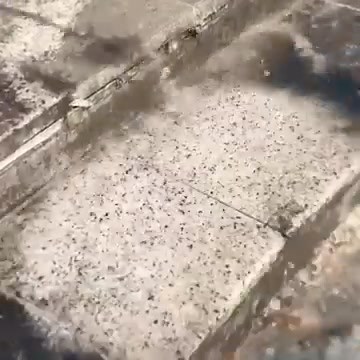 21K views · 69 reactions | Флекави поплочани површини? 識 Средство за...