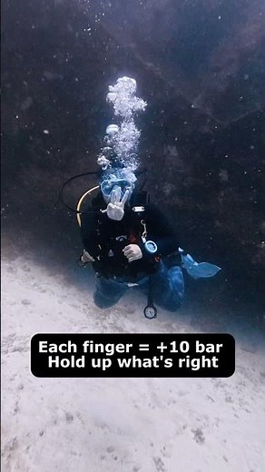 Scuba Diving Hand Signals Every Diver Should Know 🤿