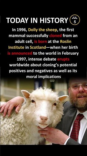 Scientists Said This Sheep Couldn't Exist 🐑