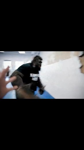 9.4K views · 50 reactions | I tried #JiuJitsu again.. its not for me #jiujitsulifestyle #mma #mmatraining #bigfoot #sasquatch | Bigfoot Bloke | Facebook