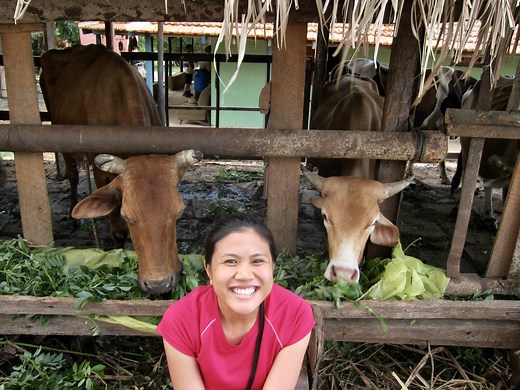 Transformative Food Systems Fellowship – Sustainable Food Systems Initiative