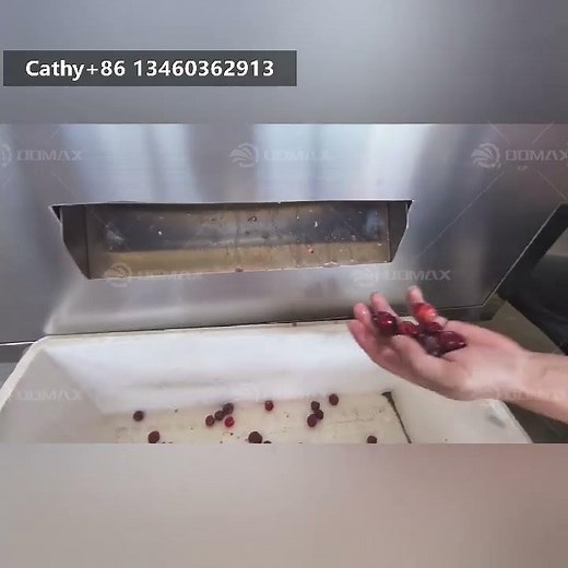 Automatic Cherry Pitting Machine Cherry Pit Removal Machine Fruit Core Removing Separating Machine