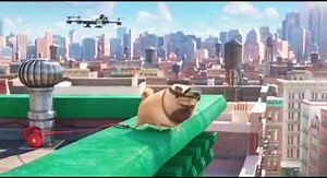 22K views · 228 reactions | Have you ever wondered what your pets do when you leave for work? We're excited to partner with the humans behind The Secret Life Of Pets - in theaters July 8th! g.gopro.com/Pets | GoPro | Facebook