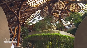 This barefoot jungle walk in Tulum is like something out of a dream