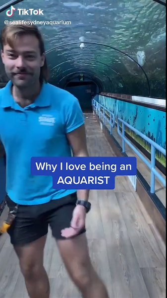 Exploring the Role of an Aquarist: Ocean Conservation and Animal Care