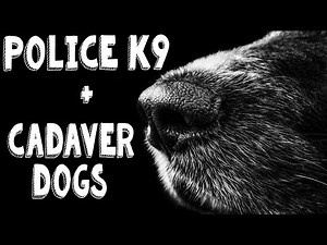 Police K9: Cadaver Detection Dogs