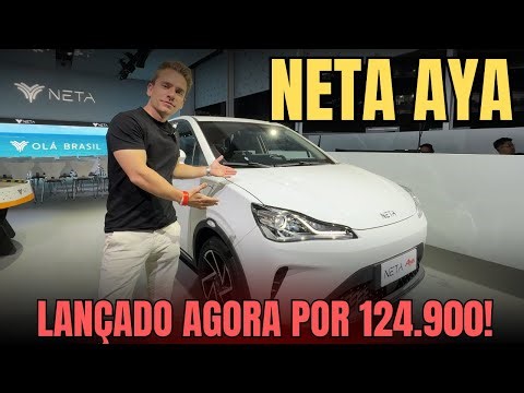 Novo NETA AYA Por R$124.900! BYD Dolphin, Dolphin Mini, Polo e Hb20 que se cuidem? Confira!
