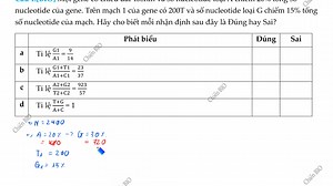 LIVE 02: Bài tập tính toán DNA và cơ chế tái bản DNA | SINH HỌC - Anh Chiến BIO