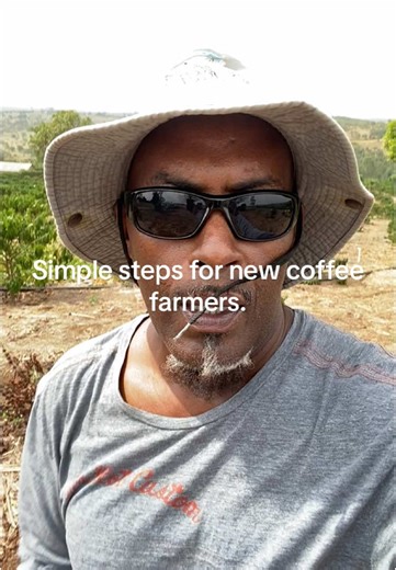 Simple Steps to Start Coffee Farming with Cow Dung