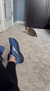 1.2M views · 147K reactions | Wide open today  | Cubby and Friends | Facebook