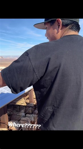 Where’s MOLLIES NIPPLE???