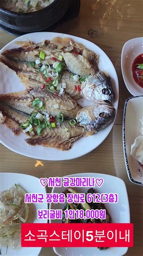 #소곡스테이 #호텔스닷컴 #개스타하우스 #금강마리나