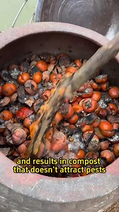 Essential skills for vegetable growing making your own compost #planting #growth #garden #farming #plants | Agriculture 12.7