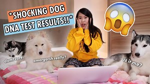 1.2M views · 3.6K reactions | MAY HINDI PALA PURE SA MGA HUSKY KO!...