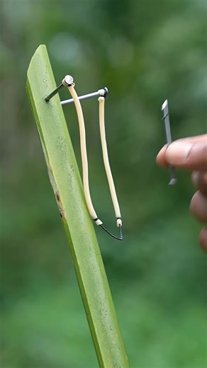 The Rise of AI and Robotics: Exploring Innovative Trends