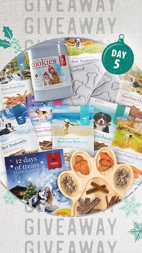 Luna The Mini Cockapoo on Instagram: "⭐️ GIVEAWAY CLOSED ⭐️The Day 5 Giveaway from @caledonfarms & @lunatheminicockapoo is all the prizes from Day 1 to Day 4! ​ ​ This is your chance to Enter to win the following from @caledonfarms:​ 1 Box 12 Days of Treats Advent Calendar​ 1 Cookie Tin featuring our 2 Holiday Cookies (Turkey + Cranberry & Lamb + Ginger Spice​ 1 Cozy Dog Blanket​ 2 Bags Beef Tendersticks​ 3 Bags Sweet Potato Chews ​ 1 Bag Pork Tendersticks​ 1 Bag Beef Liver Bites​ 1 Bag Sweet Po