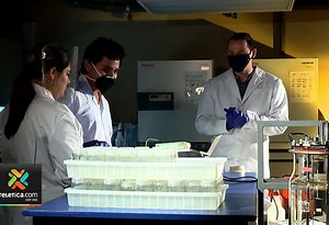 Laboratorio busca desarrollar terapia molecular contra COVID-19 | Teletica