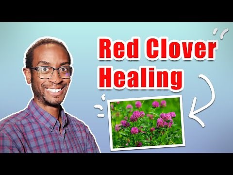 Unlocking the Power of Red Clover: Health Benefits - Healing Remedies - Ep. 1