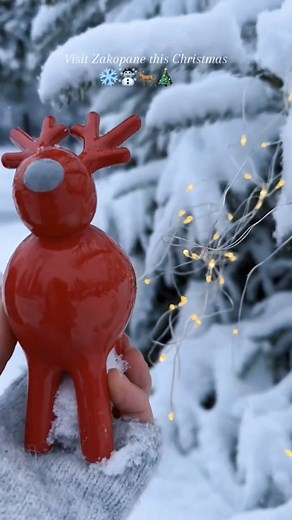 Christmas in Zakopane — where winter turns into magic ❄️🎄✨#shorts