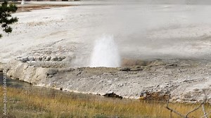 an active geyser spring with an intermittent discharge of water ejected turbulently and accompanied by steam