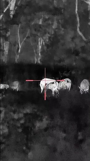 New Guide TU650 M 3.0 - Thermal Multispectral Riflescope