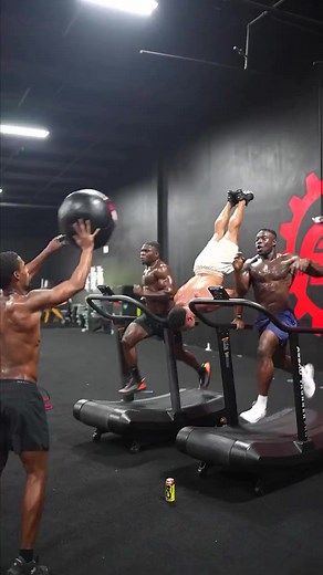 16K views · 130 reactions | What are they training for 略 | Baboon Forest Entertainment | Facebook