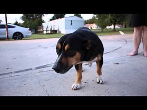 Canon Rebel T5i test video