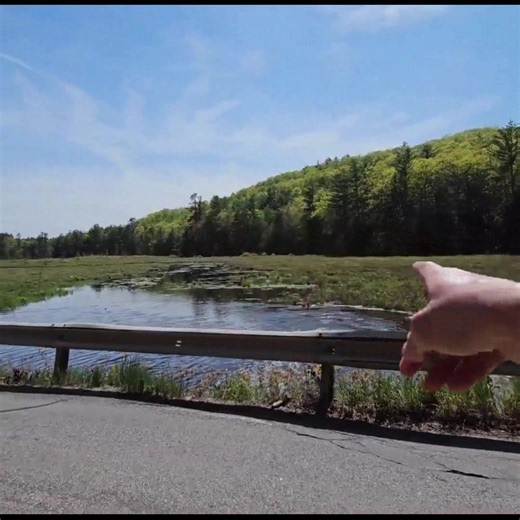 21K views · 309 reactions | Lifting Up Huge Trash Rack To Drain Overcapacity Pond Next To Roadway | Post 10 | Facebook