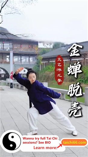 The twelfth Golden Cicada of Taiyi Dragon boxing takes the waist as the axis and can effectively exercise the support and flexibility of the waist and drive the limbs to fully stretch through stretching and smooth rotary movements, gradually improve the joint mobility and the coordination of the whole body, making the movement more smooth and smooth. #LearnTaiChiAtHome #DaoistTexts #TaiChiExercisesForSeniorsOnline #TaiChiAndArthritis #TaiChiPainRelief