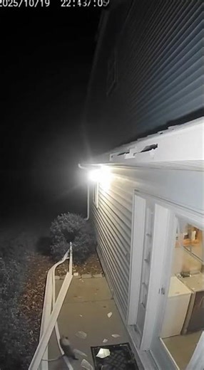 Possum Crashes Through Laundry Room Window!