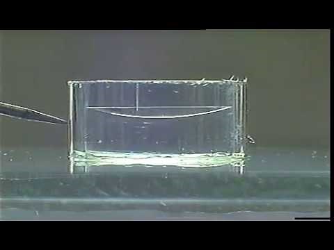 Varioptic-Invenios-Optilux liquid lens electrowetting