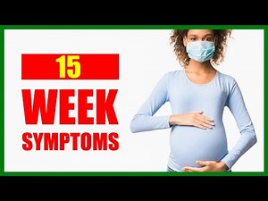 15 Weeks Pregnant Symptoms –Baby Movement and Baby Size in Womb