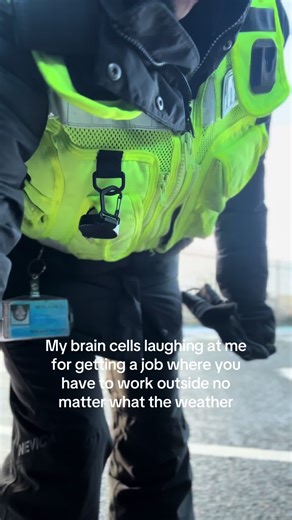 Challenges of Being a Dog Handler in Winter Weather