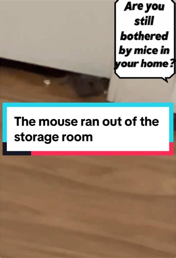 If you have mice in your home, try this Fearleft Mouse Repeller! #Rats #Mice #mouse #Rat #Repellers #mothballs #ratrepellent #You #Need #goodthing #Home #Simple #Solutions #Indoor #Outdoor