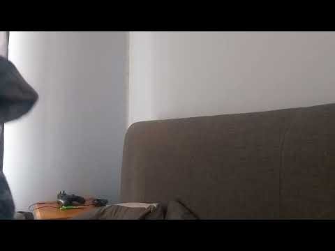 Webkinz tree frog unboxing