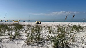 40K views · 687 reactions | Mondays on Treasure Island Beach just hit differently. ️ | The City of Treasure Island, Florida | Facebook