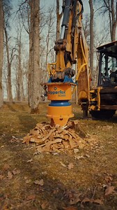 Backhoe stump removal #arborist #landscaping #stumpgrinding #heavyequipment #treeservice | Leslie Ann Bell | Facebook