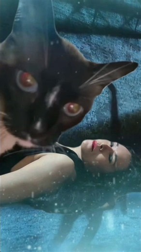 Halloween 2026 com ​@CatBia_ #moviesecene #halloween #catwoman #cartoon #spookyseason #shorts