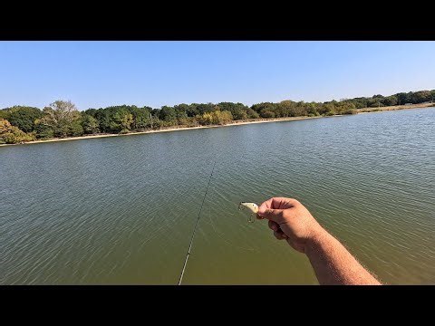 Fall Fishing A Bomber Square "A" and Other Lures! Squarebill Fun!