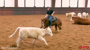 120K views · 1.8K reactions | Six million dollar champion Wes Galyean...