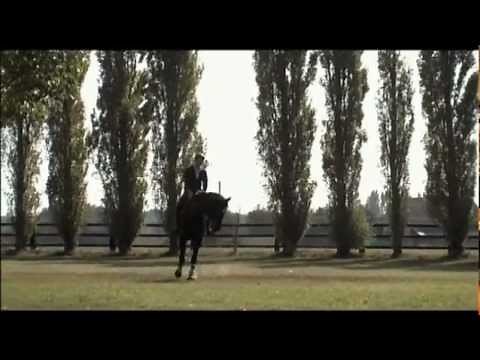 EXTRAIT - Cavaliers seuls - Equidia Life