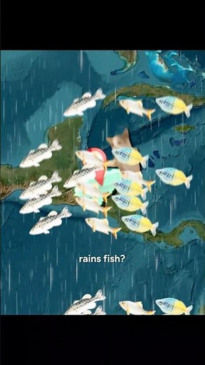 Why It Rains Fish in Honduras Every Year