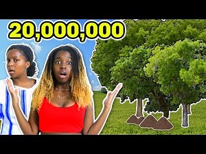 WE PLANT 20 MILLION TREES IN OUR BACKYARD? - Onyx Life