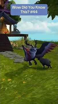 This Incredible Druid Flight Form is a Must Have! #midnight #worldofwarcraft #foryou #gaming #wow