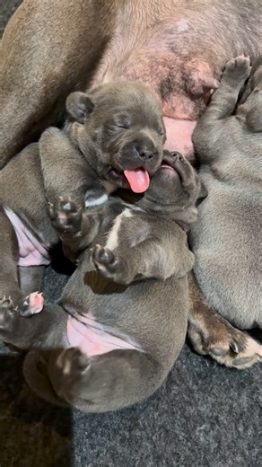 168K views · 16K reactions | A case of the contagious yawns  Two...