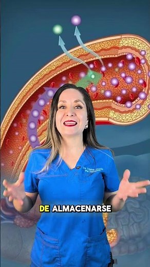 What does insulin do in your body?