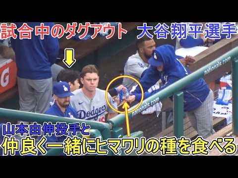♦試合中のダグアウト♦勝利を確信して山本投手と一緒にヒマワリの種を食べる【大谷翔平選手】 対ナショナルズ～シリーズ最終戦～Shohei Ohtani vs Nationals