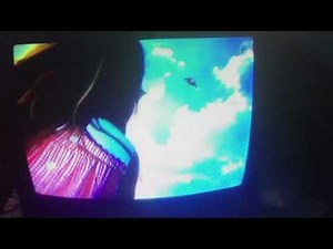 Let’s Play With Barney- Kites