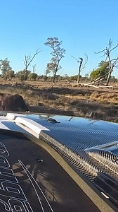 Gran diversidad de fauna que te puedes encontrar por las brechas de Australia 👀‼️🔝🏁🦘🐂🦩 #Animals #Friends #Desert #Australian #OffRoad 📽️obr184 | PAUL Gordon Photography
